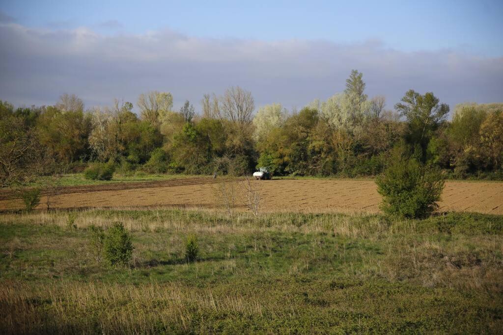 Domaine Villecarla Villedubert Esterno foto