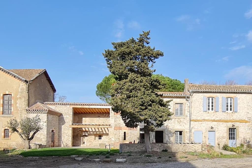Domaine Villecarla Villedubert Esterno foto