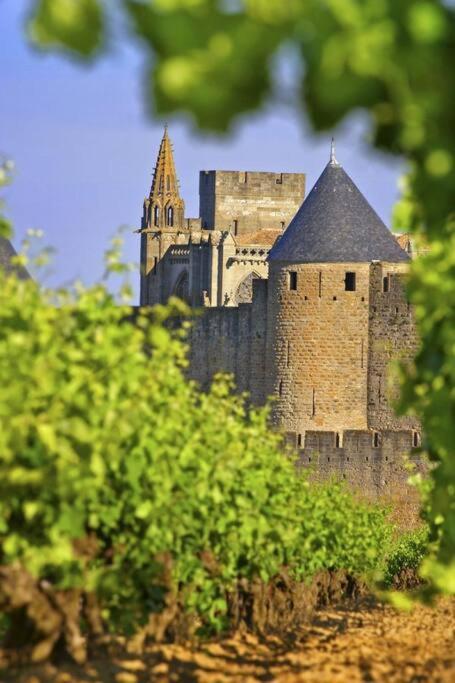 Domaine Villecarla Villedubert Esterno foto